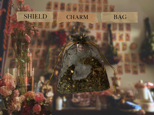 shield | spelled protection charm bag